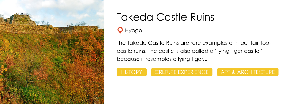 takedajo_castle_ruin