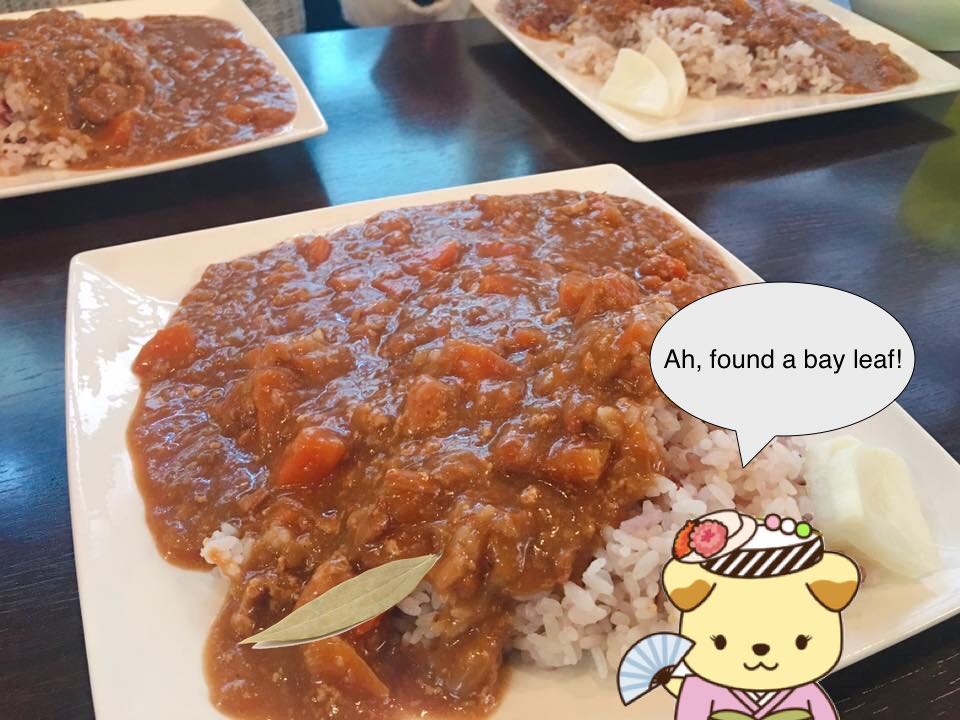 nikko2 curry