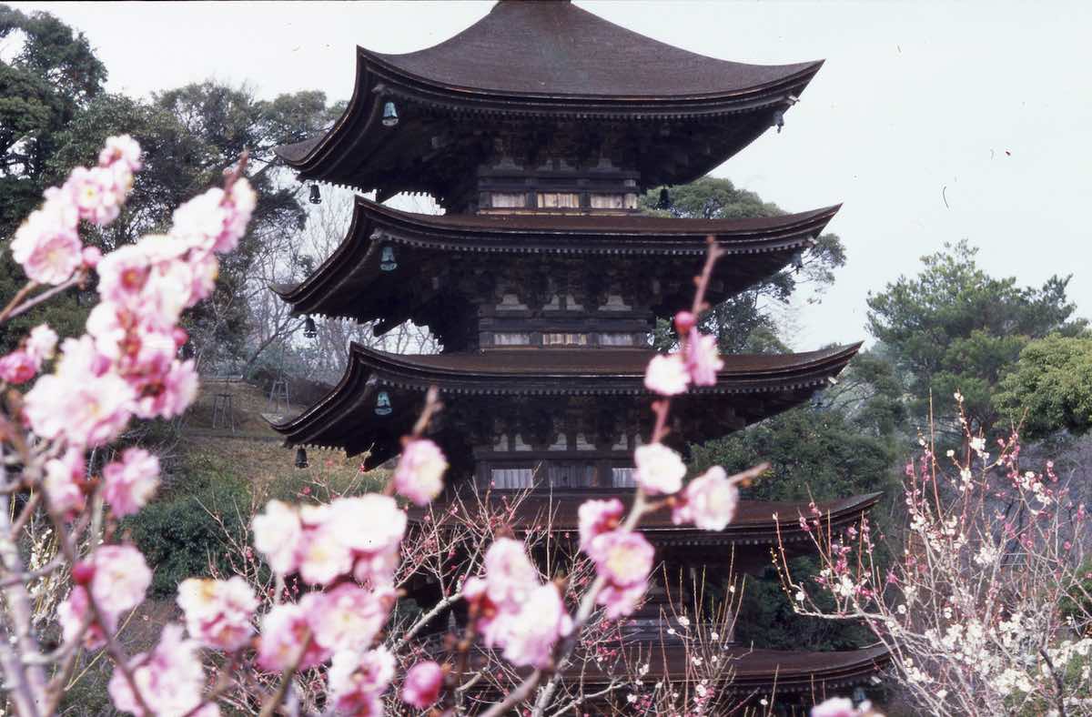 Rurikoji Temple’s Pagoda