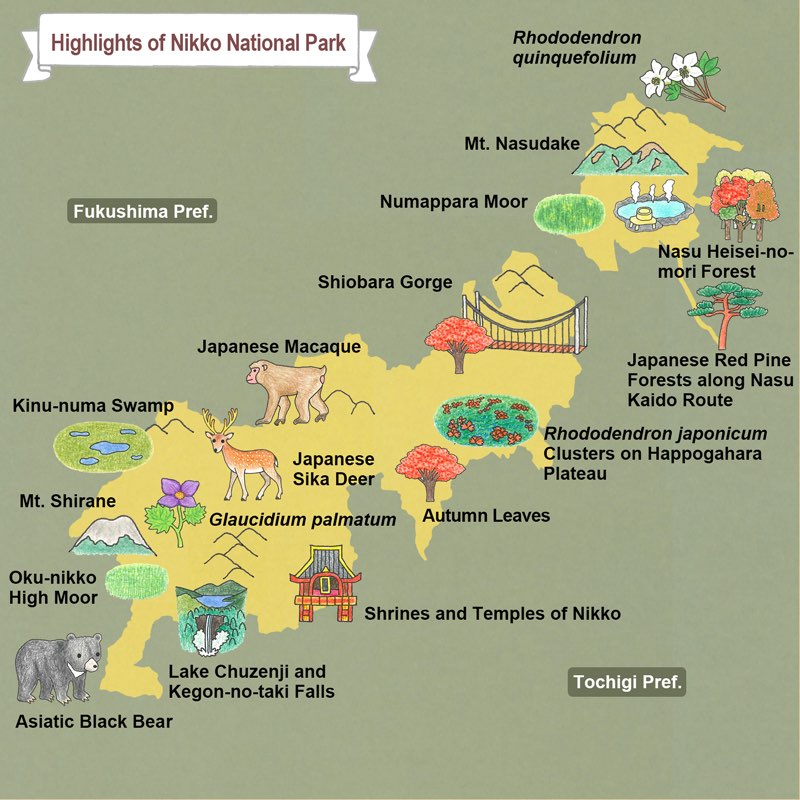 highlights of Nikko National Park