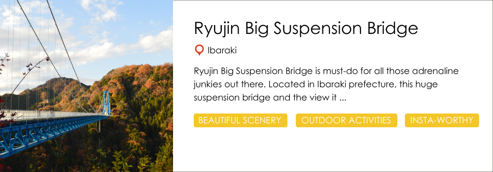 ryujin_big_suspension_bridge