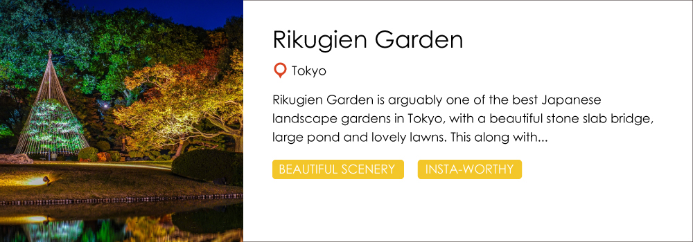 rikugien_garden